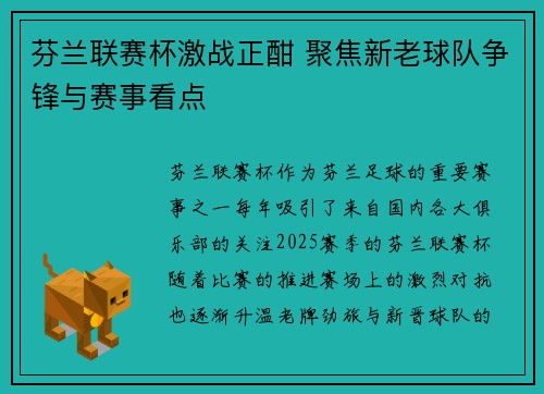 芬兰联赛杯激战正酣 聚焦新老球队争锋与赛事看点